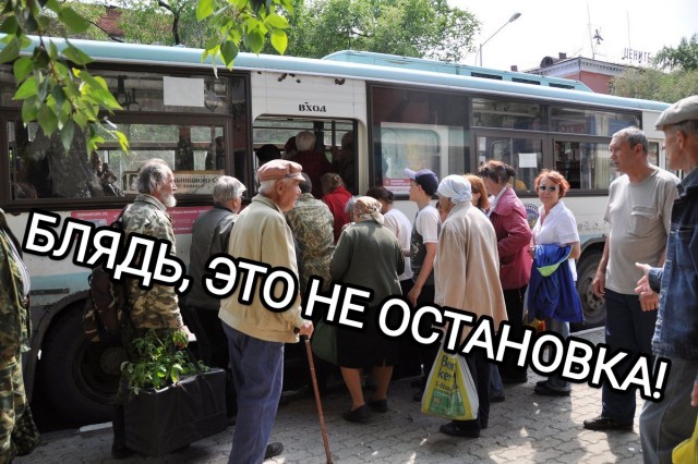 Купил беседку за 20 т.р. на дачу. Сосед ржёт!
