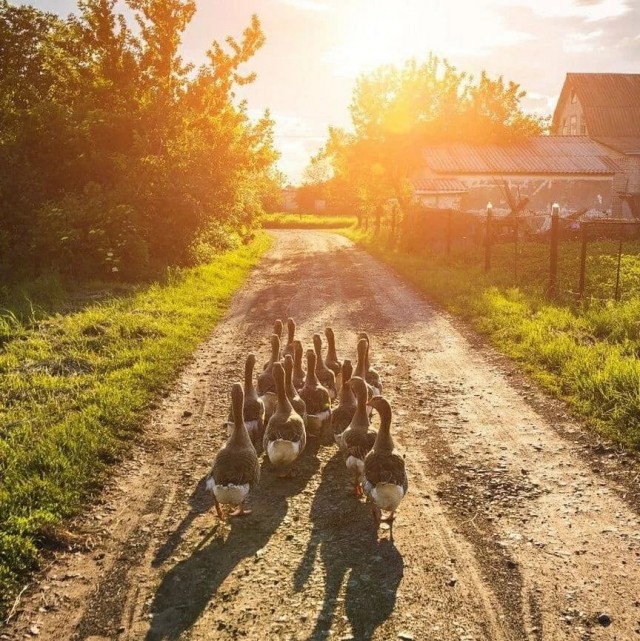 Как раньше выглядело лето, а не это вот всё.