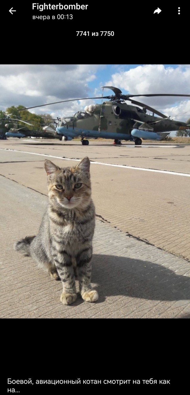 Помощник авиатехника