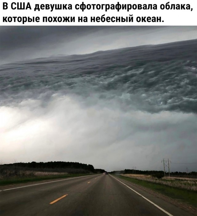 Так себе картинки 14.06.23