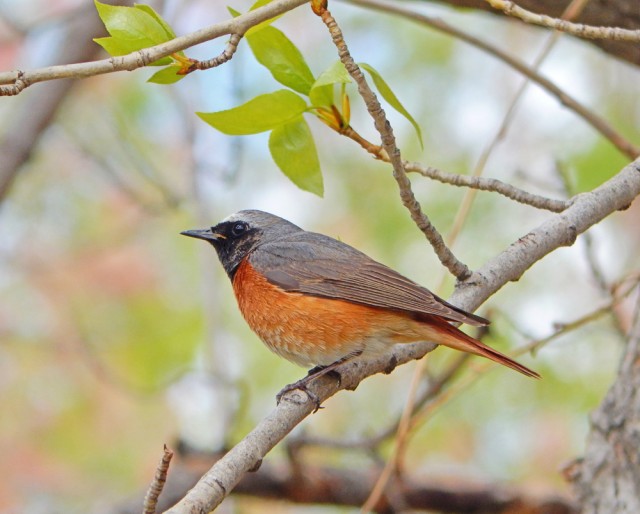 Природа Южного Урала