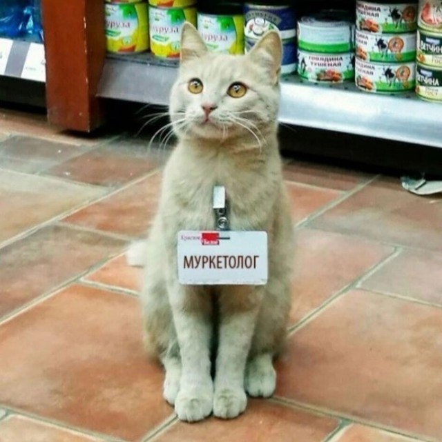 Красотка