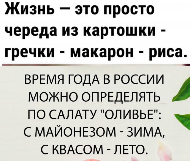 Так себе картинки 27.08.23