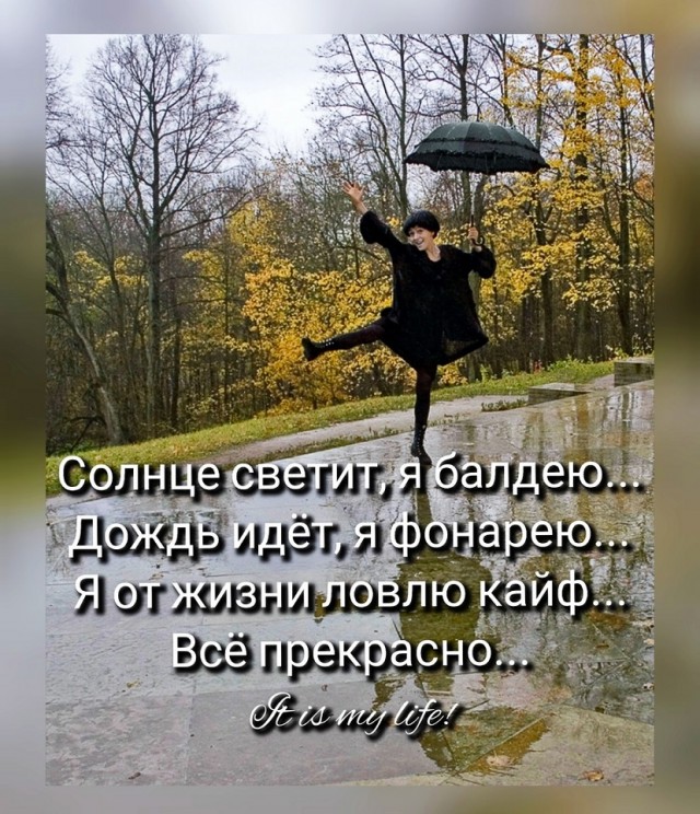 Так себе картинки 16.10.23