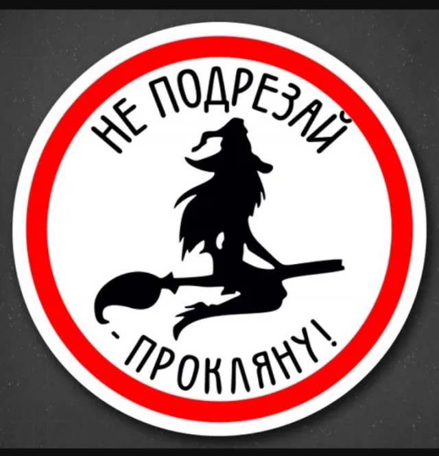 Сова украла игрушечную палку-лошадь и стала летать на ней, словно ведьма на метле