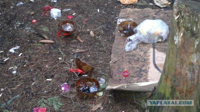 Сходил в лес