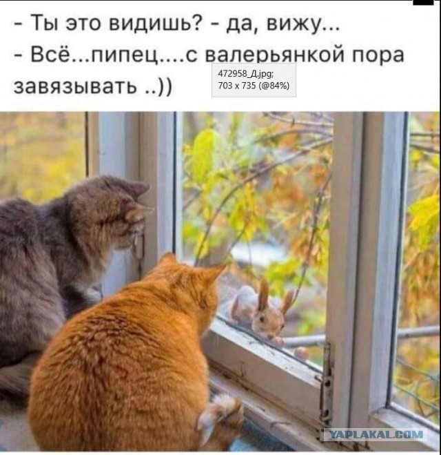 Забавные картинки, шутки из этих ваших интернетов