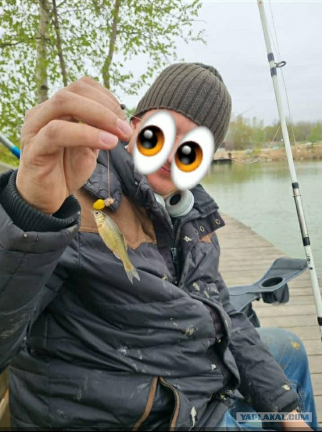 Показываем рыбов