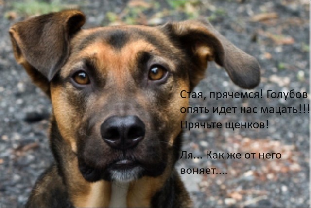 14 мая в Пахачах мокрая метель