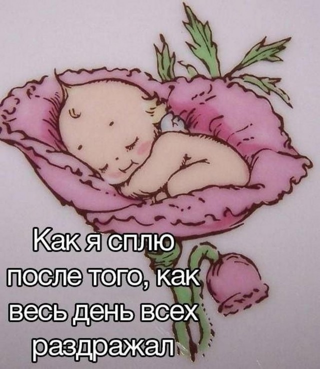 Отряд быстрого деградирования