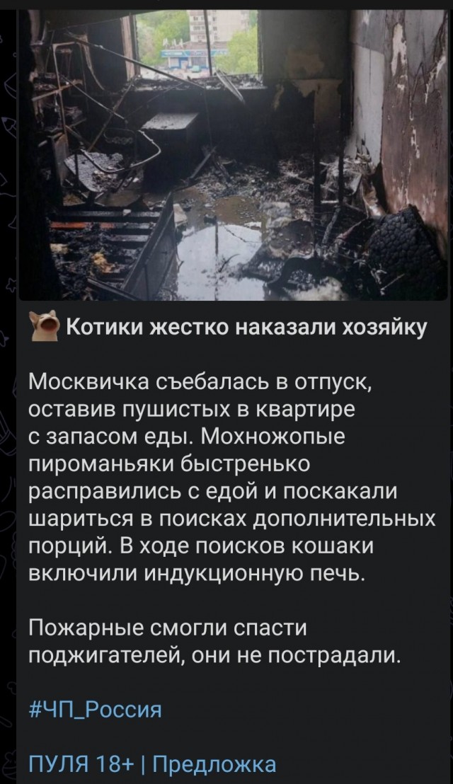 Борьба с тараканами