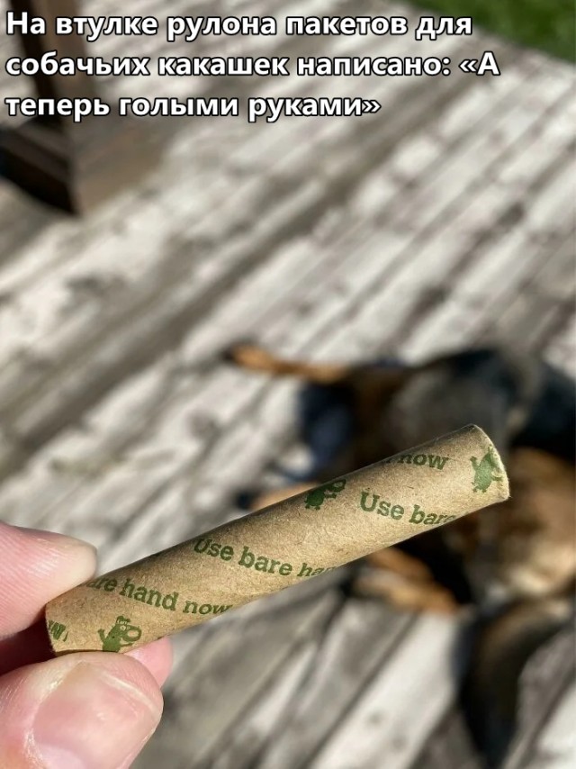 ФотоВинегрет
