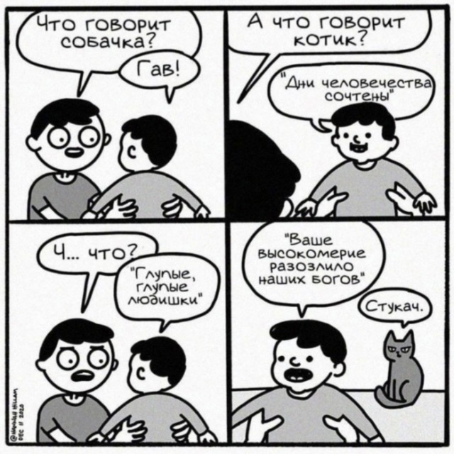 Нуштош 08.10.2024