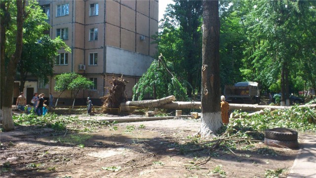 Ураган в Одессе