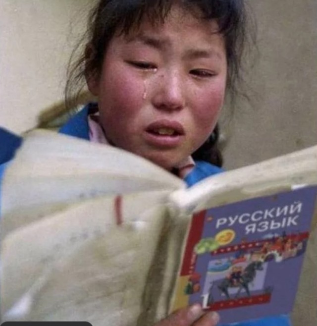 Закон, запрещающий зачислять в школы детей мигрантов, которые не владеют русским языком, принят Советом Федерации