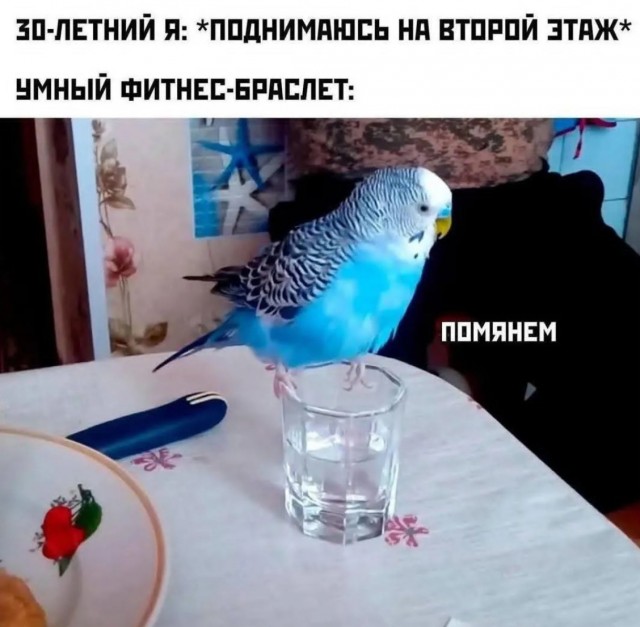 Завалялось тут случайно немного забавных картинок