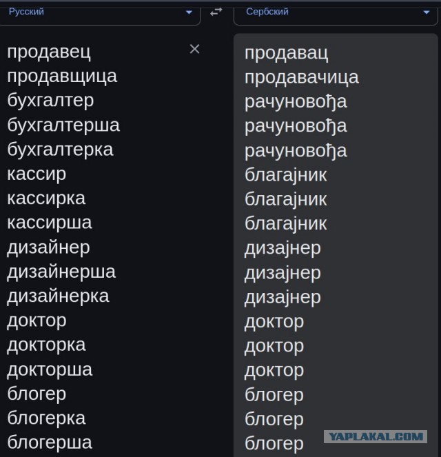 Дизайнерка, кассирша, продавецка: зачем нам феминитивы и почему они бесят?