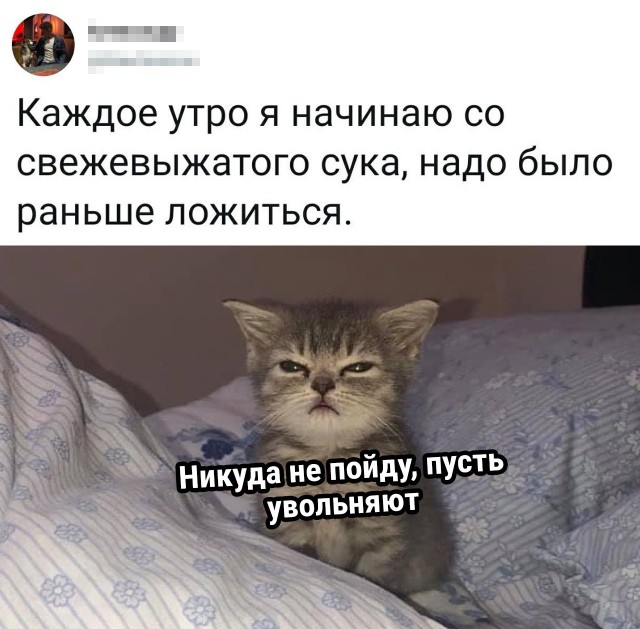 Так себе картинки 28.03.25