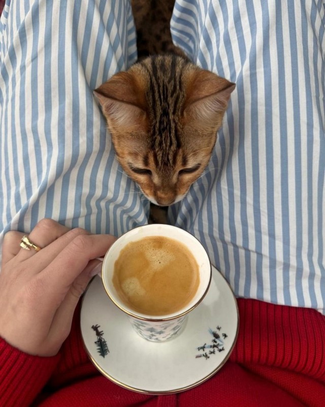 Прикольные и просто красивые картинки 04.04.2025