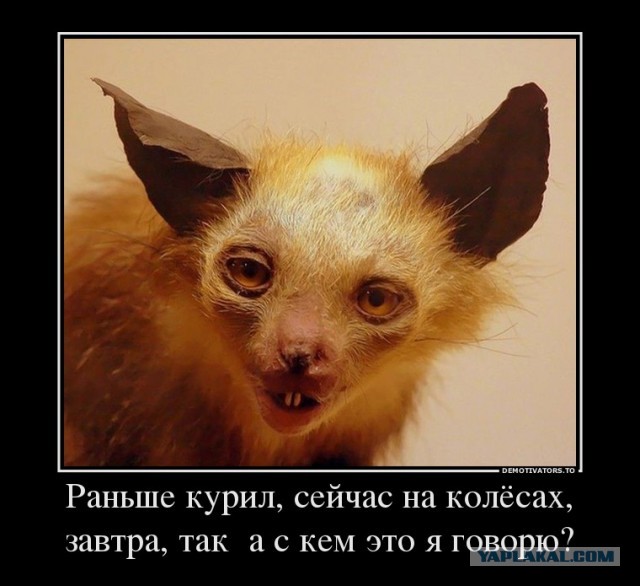 Марихуановые мамочки из Калифорнии