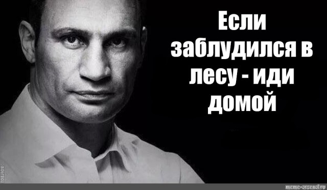 Три главные причины, почему люди теряются в лесу, и как этого избежать