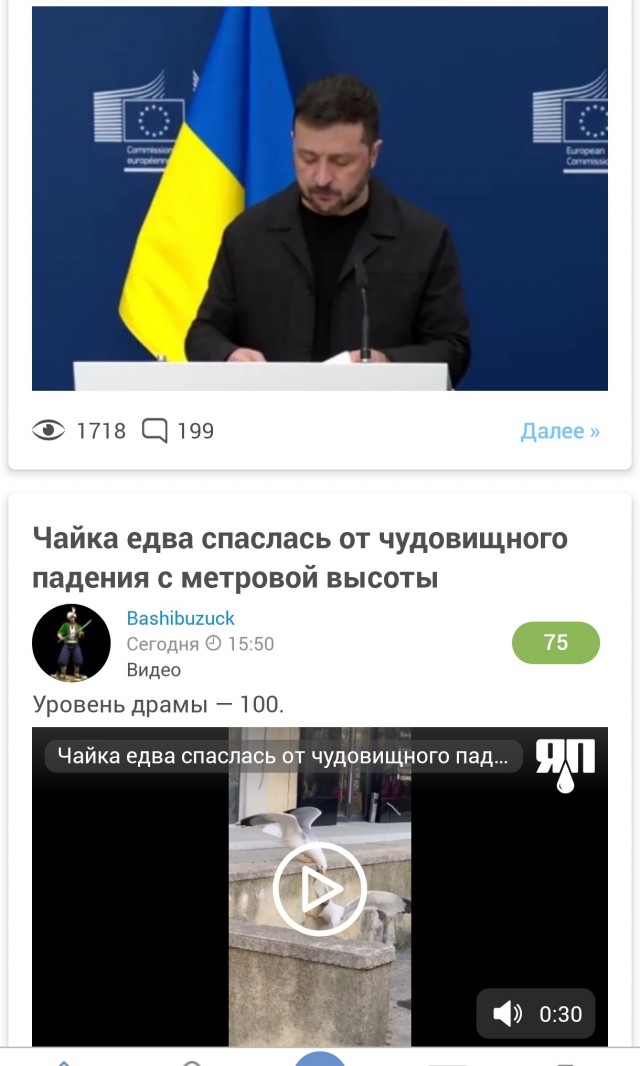 Чайка едва спаслась от чудовищного падения с метровой высоты