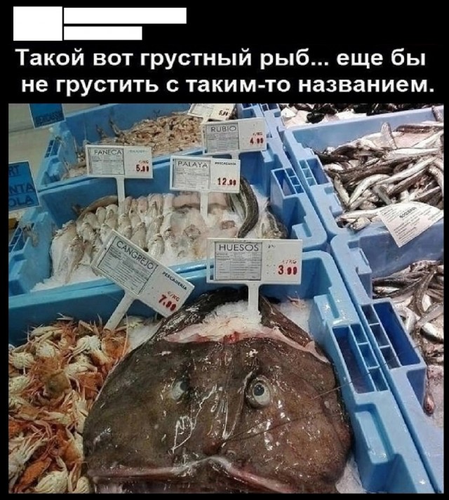 Так себе картинки 19.08.25