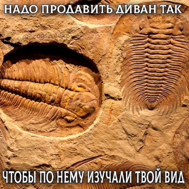 Так себе картинки 01.09.25