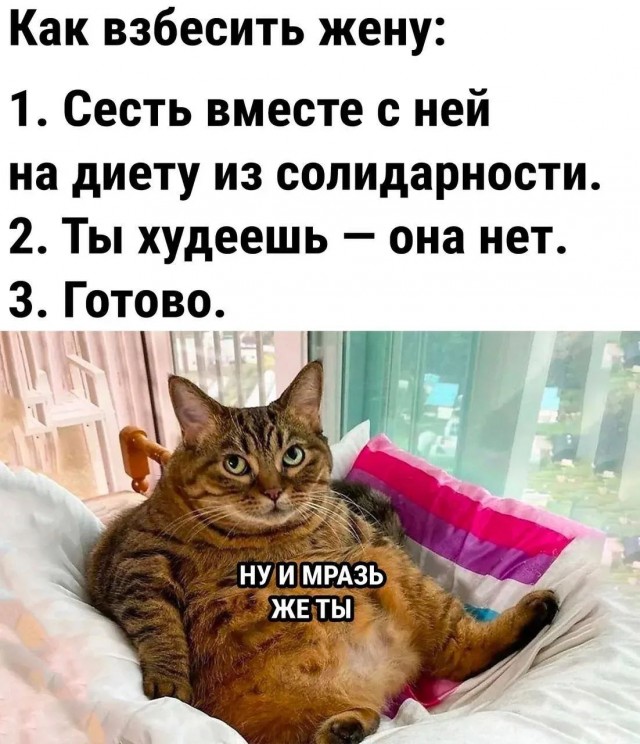 Картинки для деградации 57 (разной степени свежести)