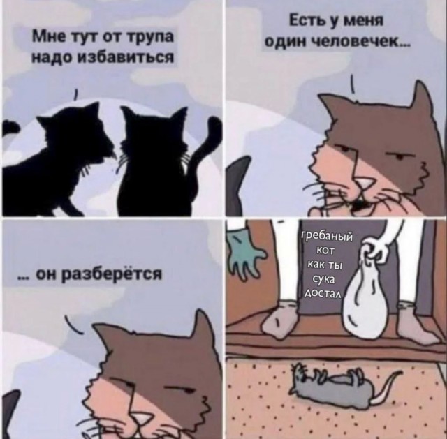 Криминальное