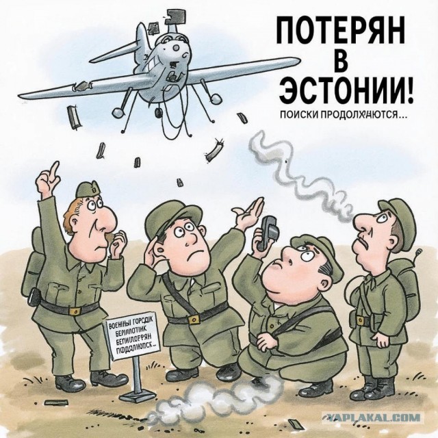 Эстонские военные сбили дрон и не смогли его найти