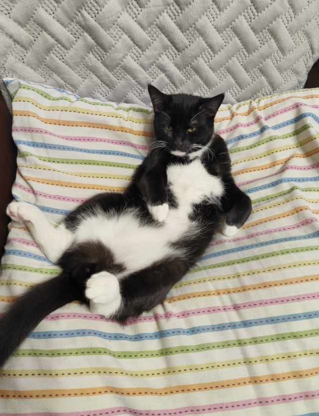 Вот такое оно - одиночество