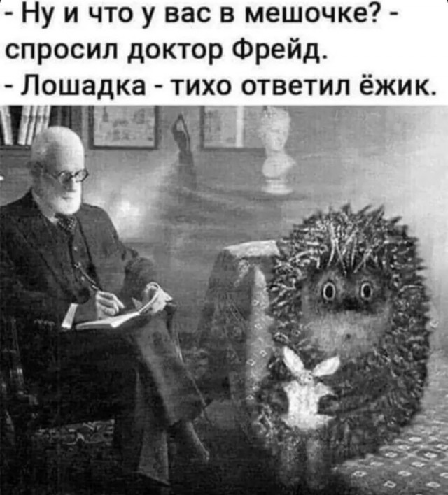 На подмосковных помойках замечают злых и голодных ежей