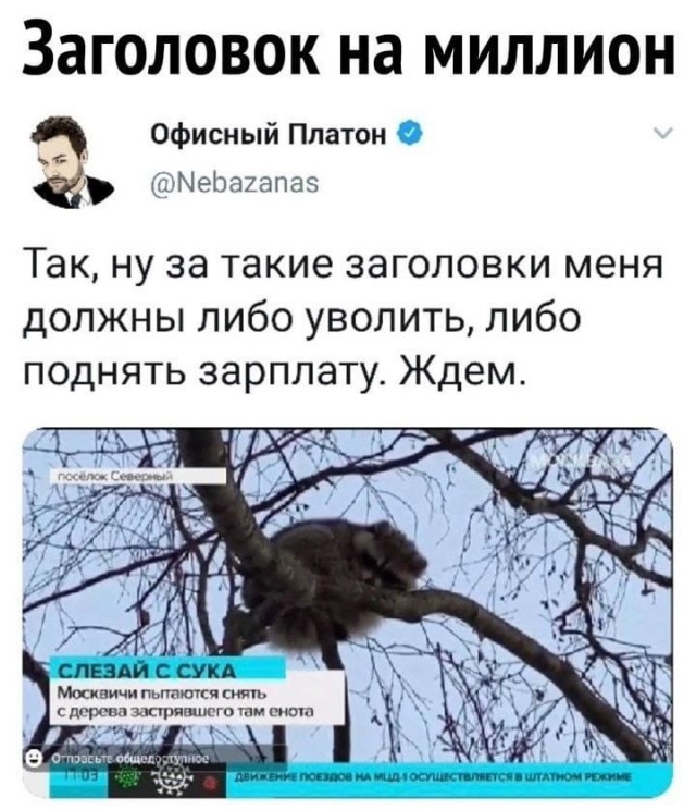 Картинки для деградации 171 (разной степени свежести)