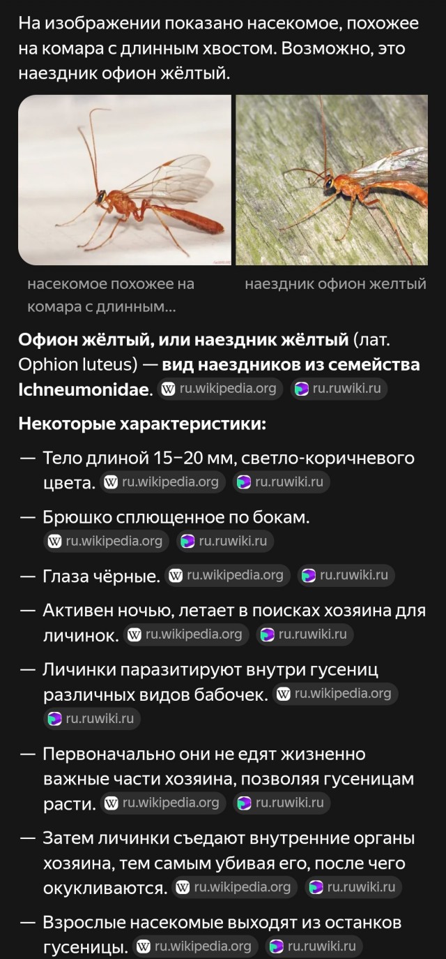 Что за живность такая?