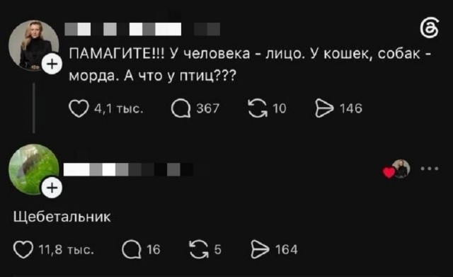 Так себе картинки 24.07.26
