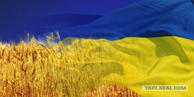 Митингующий Донецк