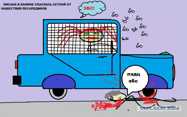 Про эмансипацию...