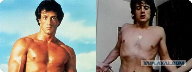 Как выглядели порнозвезды до начала своей карьеры