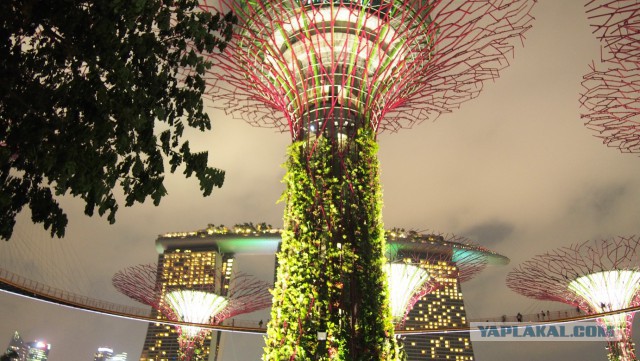 Сингапур. Гостиница "Марина Бэй"