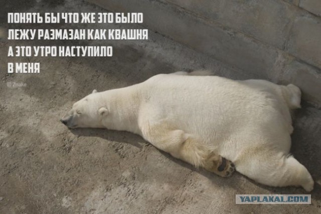 Немного странного юмора