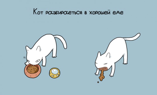 10 преимуществ котовладельцев :)