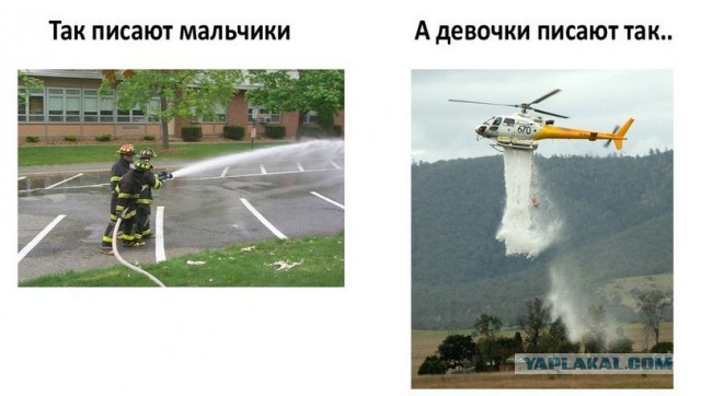 Прикольные картинки