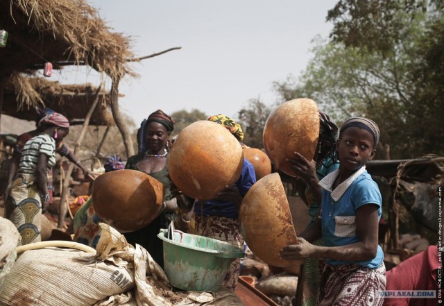 Золотая лихорадка по-африкански