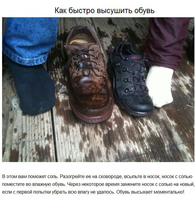 20 советов на все случаи жизни