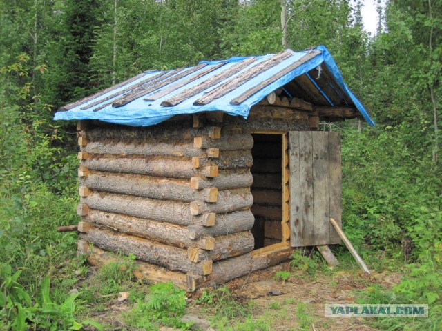 Сибирь 2015