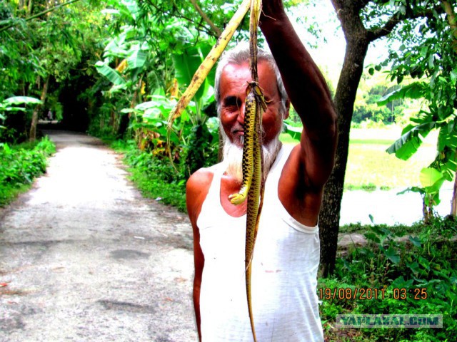 Что такое Бангладеш?