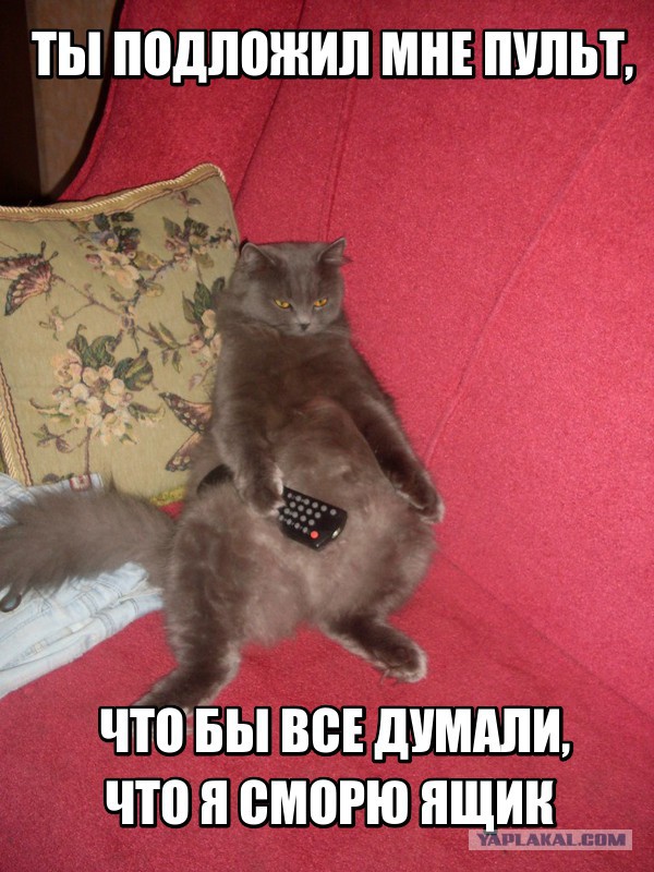 Воскресная подборка картинок