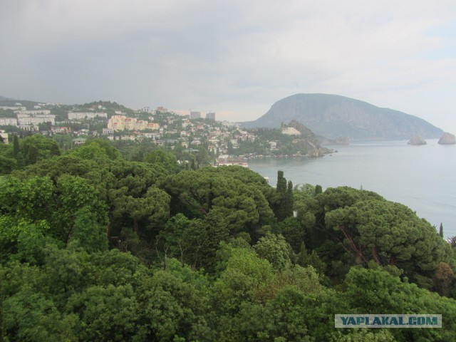 О посещаемости пляжей в Крыму
