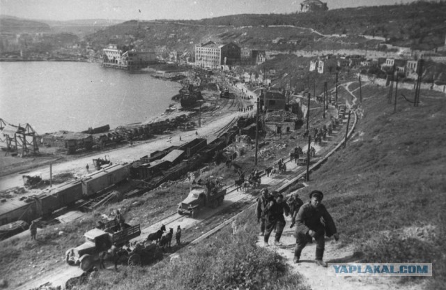 Крым и Севастополь 1941-1944 гг. Часть 1.